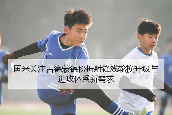 国米关注古德蒙德松折射锋线轮换升级与进攻体系新需求